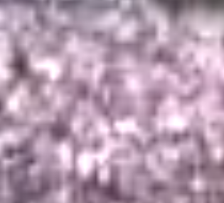 Afterimage